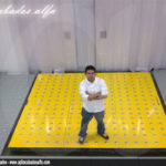 Proyectos Apliacabados Alfa