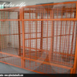 Proyectos Apliacabados Alfa